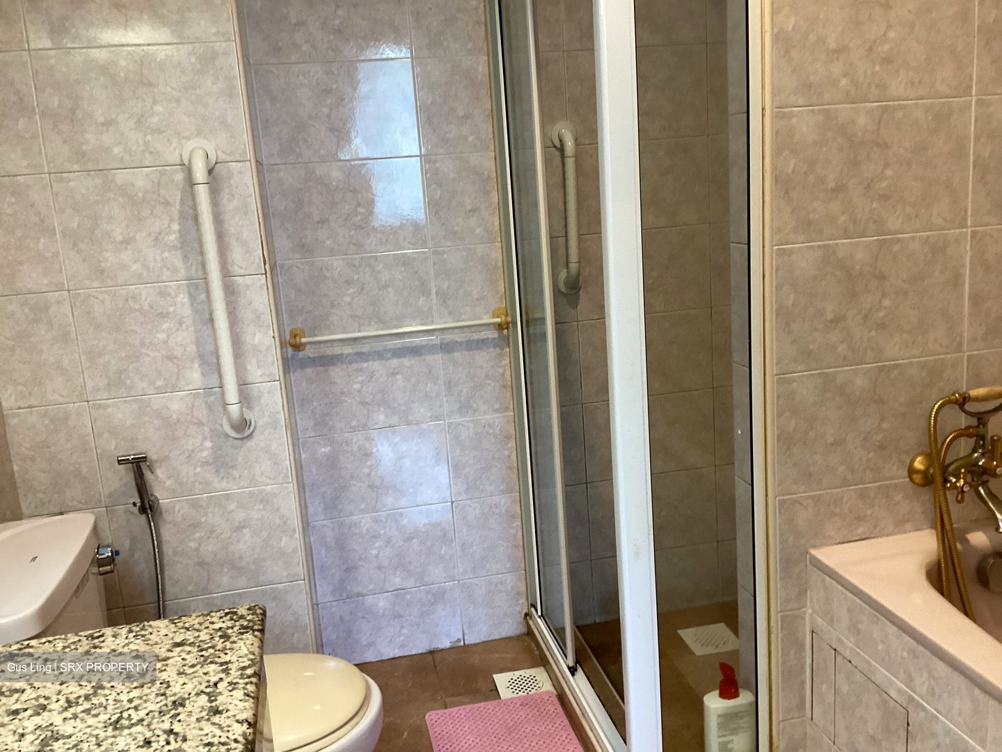 Henry Park (D10), Detached #511187351